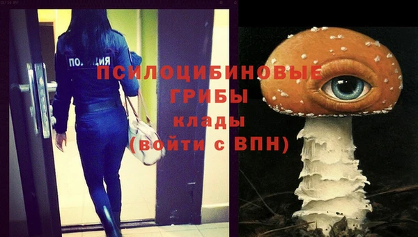твердый Новокубанск