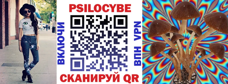 Галлюциногенные грибы Psilocybe  как найти закладки  блэк спрут как войти  Приморско-Ахтарск 
